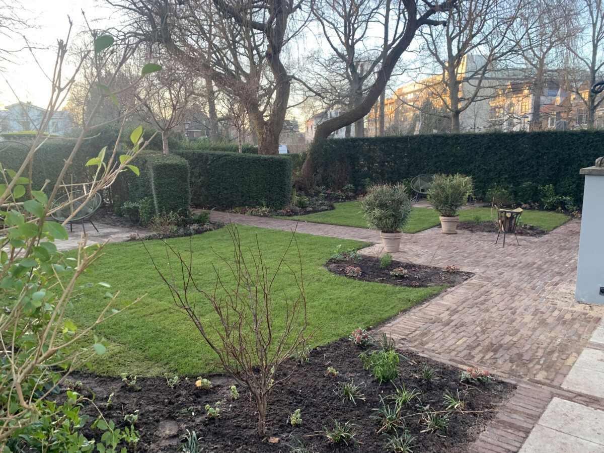 Tegeltuin met planten en bomen, omgeven door een heg en een tuinpad.