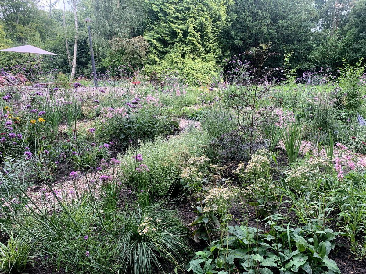 planten005
